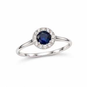 delicate navy halo ring